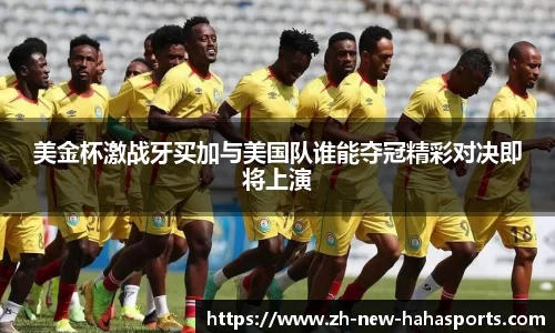 哈哈体育登录入口