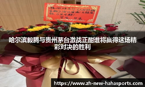 哈哈体育登录入口